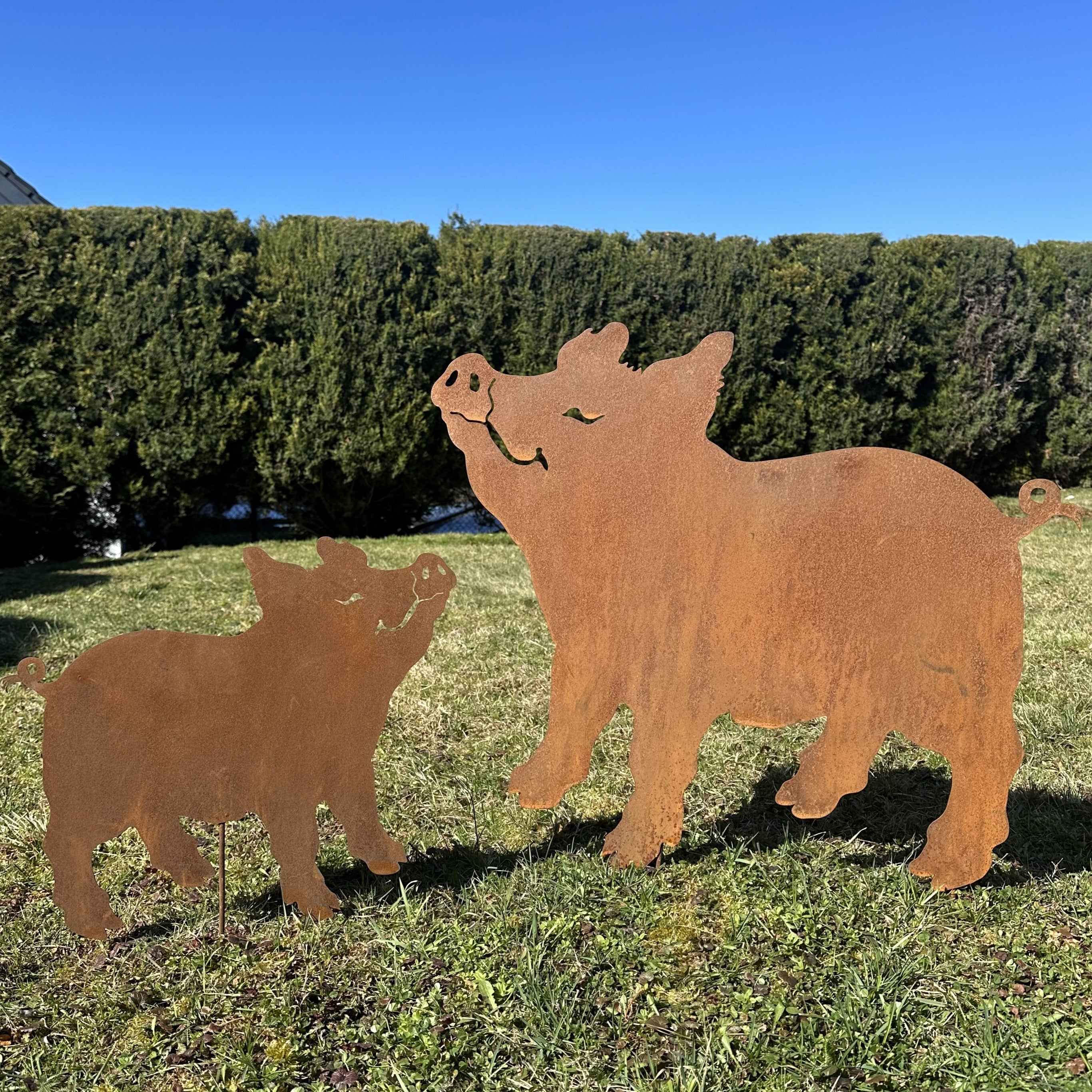 Schwein „Grinsend” Groß