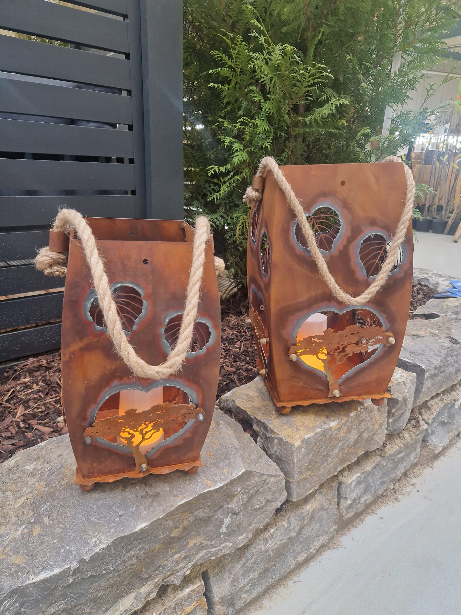 Laterne Herz „Bonsai”