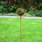 Pflanzschale Mittelgroß