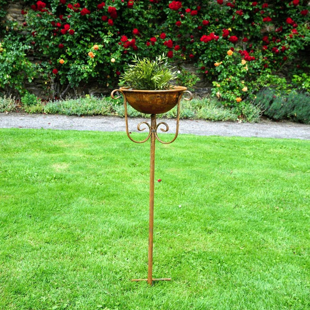 Pflanzschale Mittelgroß