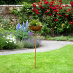 Pflanzschale Mittelgroß